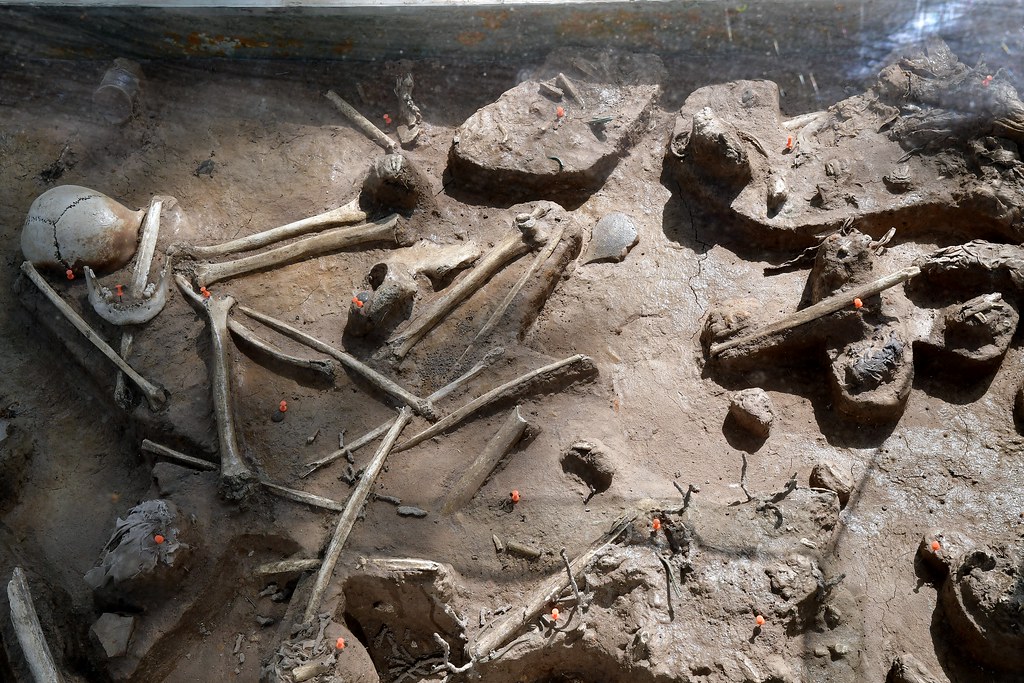 Victims bones at the killing fields at Choeung Ek Genocida… | Flickr