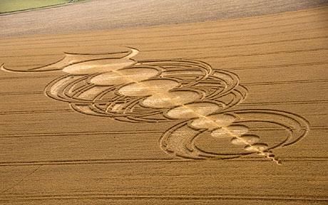 7 Crop Circles ideas | crop circles, cropped, ancient aliens