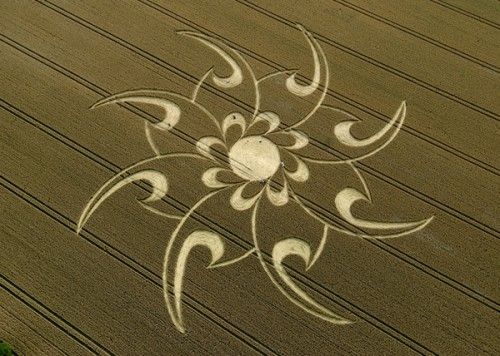 Cerchi nel Grano Annata 2008 | Il blog di XPublishing -Mike Plato