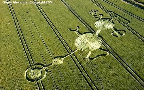 Crop circle England, 2004-07-05, Wiltshire, Market Lavington, nr Devizes