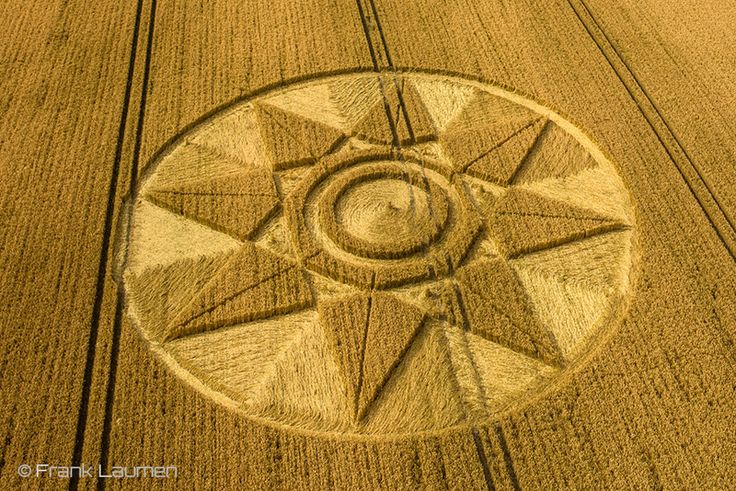 Reportan otro crop circle en Wiltshire representando una estrella de 8  puntas