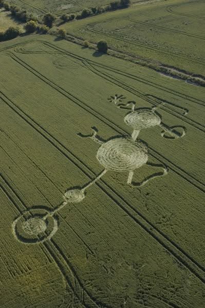 May be an image of grᴀss