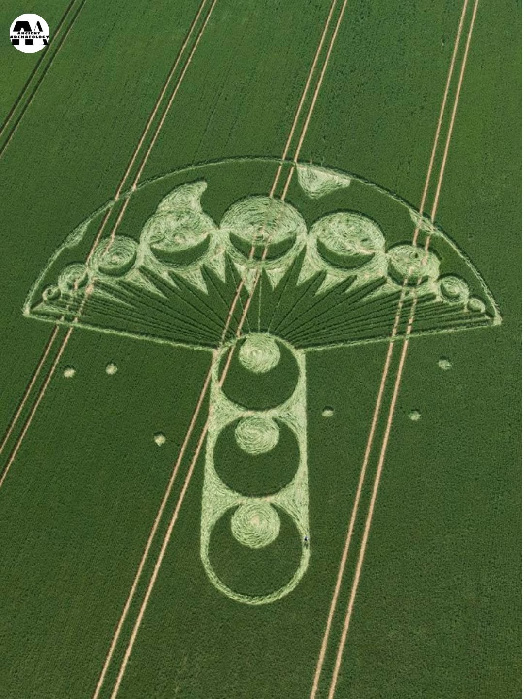 Có thể là hình ảnh về văn bản