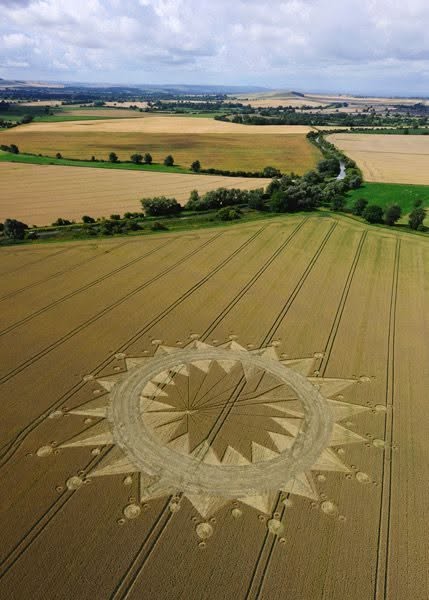 May be an image of windmill
