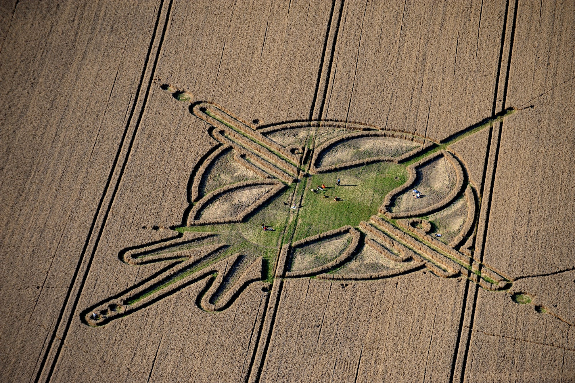 30 Stunning Crop Circles and Corn Mazes PH๏τographed from Above