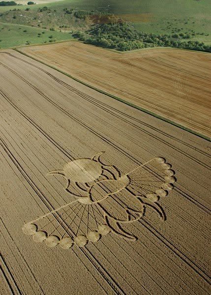 May be an image of combine
